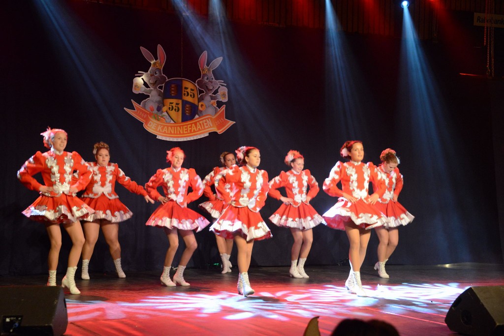 ../Images/Dansmarieke festival 2015 172.jpg